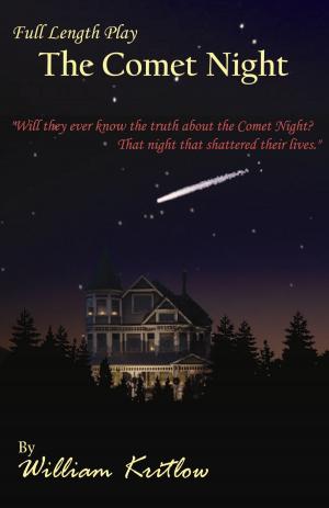 Book cover of The Comet Night