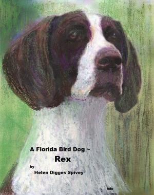 Cover of A Florida Bird Dog ~ Rex