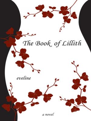 Cover of the book The Book of Lillith by Jan Schomp