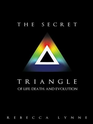 Cover of the book The Secret Triangle by Toni Brody