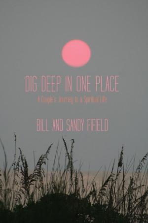 Cover of the book Dig Deep in One Place by Les Feast