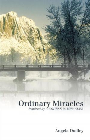 Cover of the book Ordinary Miracles by Sara Bachmeier