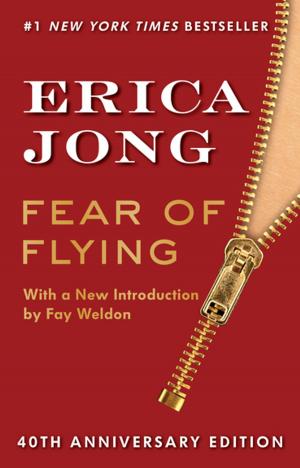 Book cover of Fear of Flying