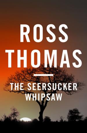 bigCover of the book The Seersucker Whipsaw by 