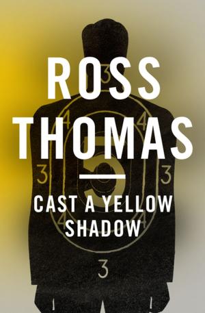 Cover of the book Cast a Yellow Shadow by Jenna Brooks