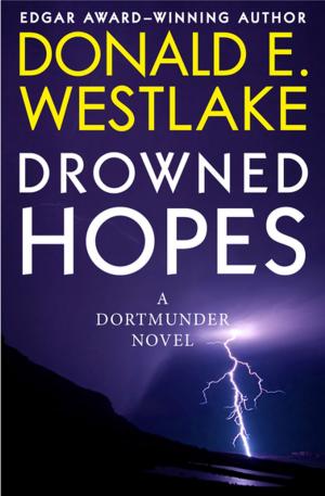 Cover of the book Drowned Hopes by Edwin A. Abbott