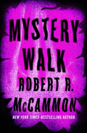 bigCover of the book Mystery Walk by 