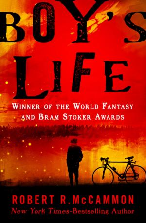 Book cover of Boy's Life