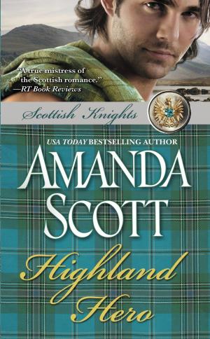 Cover of the book Highland Hero by Elise Juska