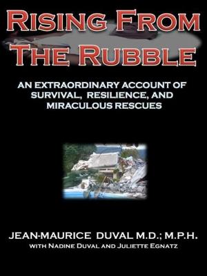 Book cover of Rising From The Rubble