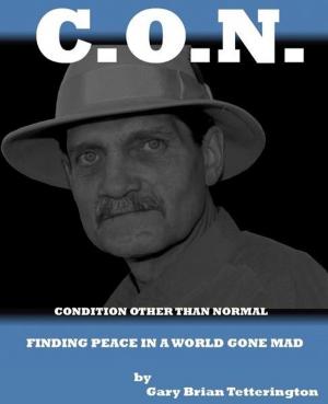 Cover of the book Condition Other Than Normal: Finding Peace In a World Gone Mad by Kenneth Samcoe