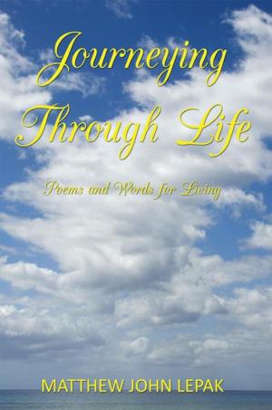 Cover of the book Journeying Through Life by Jess Dee