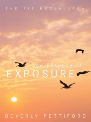Cover of the book The Essence of Exposure by Peter McGarvey