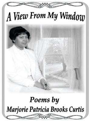 Cover of the book A View from My Window by Allen R. Remaley