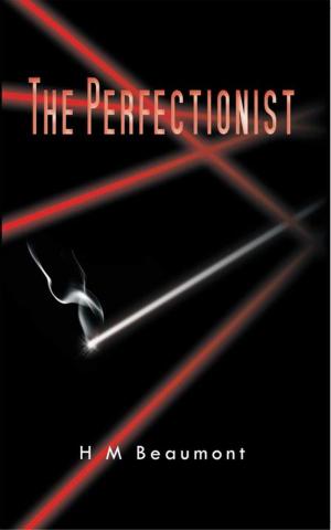 Cover of the book The Perfectionist by Lori Osterberg