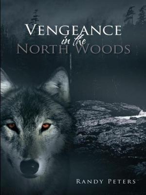 Cover of the book Vengeance in the North Woods by Rita Fasanella
