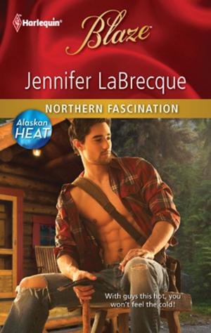 Cover of the book Northern Fascination by Amanda Stevens