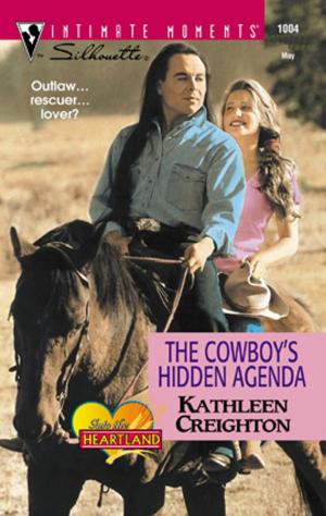 bigCover of the book The Cowboy's Hidden Agenda by 