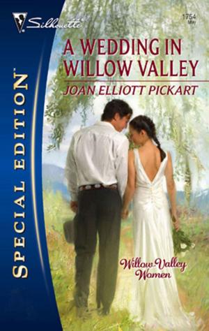 Cover of the book A Wedding in Willow Valley by Catherine Mann