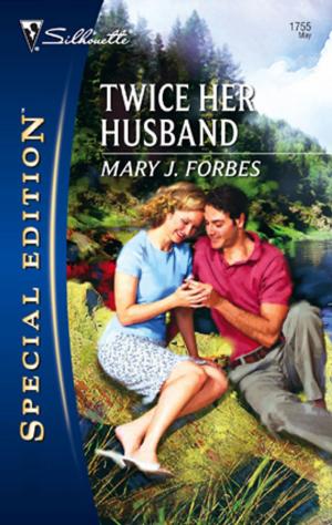 Cover of the book Twice Her Husband by Amanda Berry
