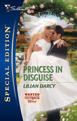 Cover of the book Princess in Disguise by Amanda Berry