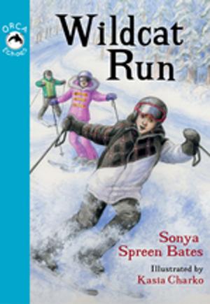 Cover of the book Wildcat Run by Vicki Delany
