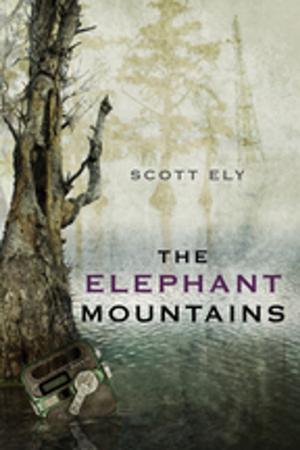 Cover of the book The Elephant Mountains by Michael Fryar