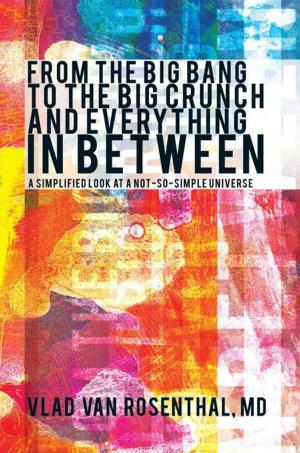 Cover of the book From the Big Bang to the Big Crunch and Everything in Between by Andrew C. F. Horlick
