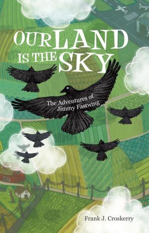 Cover of the book Our Land Is the Sky by Carol Crouch