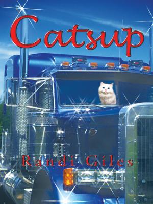 Cover of the book Catsup by Ann Tremaine Linthorst