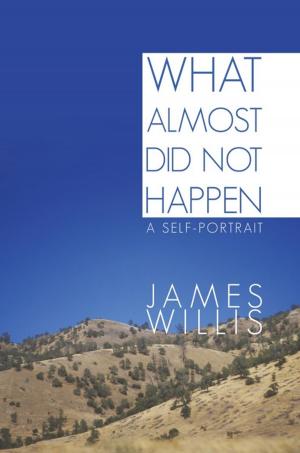 Cover of the book What Almost Did Not Happen by Melvina Semper DNP