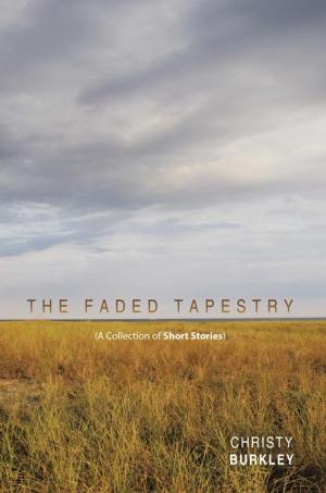 Cover of the book The Faded Tapestry by Diane Brown