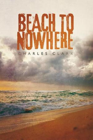 Cover of the book Beach to Nowhere by Andreea Ehritt-Vanc