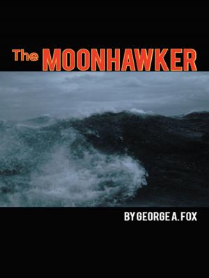 Cover of the book The Moonhawker by Neil Ackerman