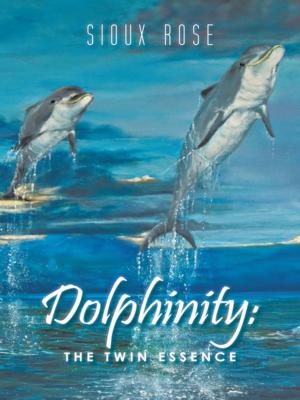 Cover of the book Dolphinity: by David Mazzarella