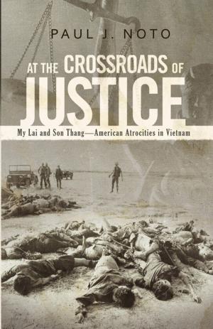 Cover of the book At the Crossroads of Justice by Dragan Vujic