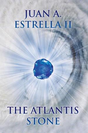 Book cover of The Atlantis Stone
