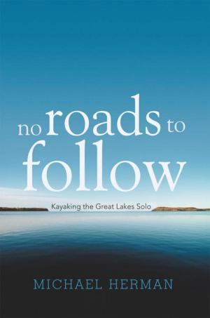 Book cover of No Roads to Follow