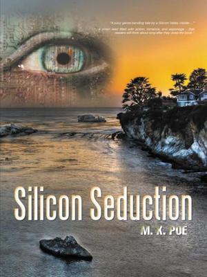 Cover of the book Silicon Seduction by Ann Turner Cook