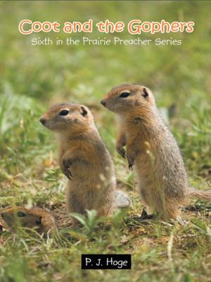 Cover of the book Coot and the Gophers by Slim Spurling, Susan Anderson
