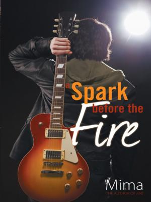 Book cover of A Spark Before the Fire