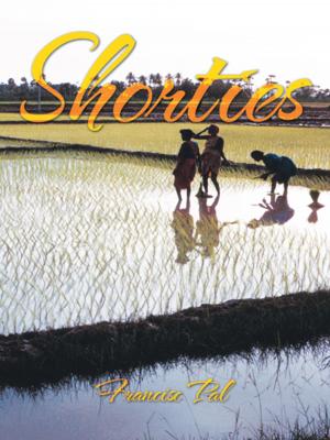 Cover of the book Shorties by Dragan Vujic