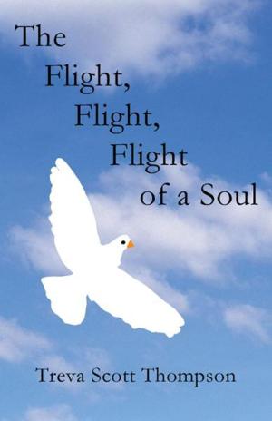 Cover of The Flight, Flight, Flight of a Soul