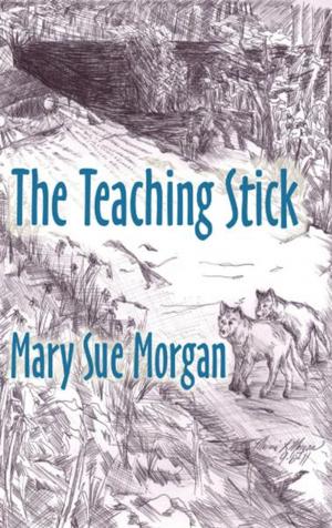 Cover of the book The Teaching Stick by michaela