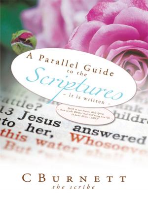 Cover of the book A Parallel Guide to the Scriptures by Melissa Wells
