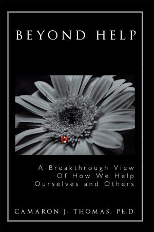 Cover of Beyond Help
