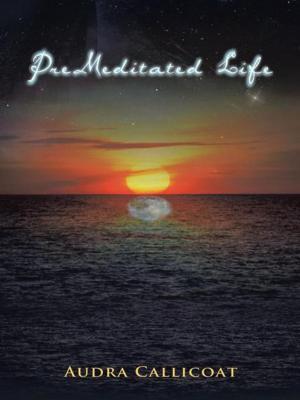 Cover of the book Premeditated Life by Bob Brackin