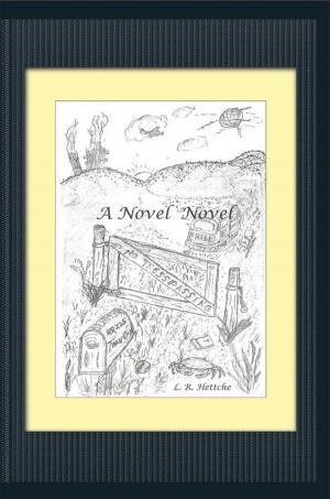 Cover of the book A Novel Novel by ken ferrara