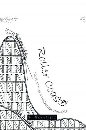 Cover of the book Roller Coaster by Gina Ardito