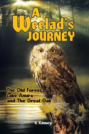 Cover of the book A Weelad's Journey by Shawn S. Gilreath